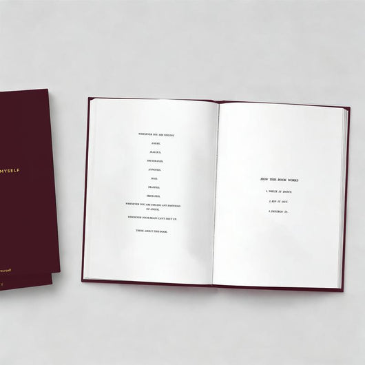 The Anger Journal